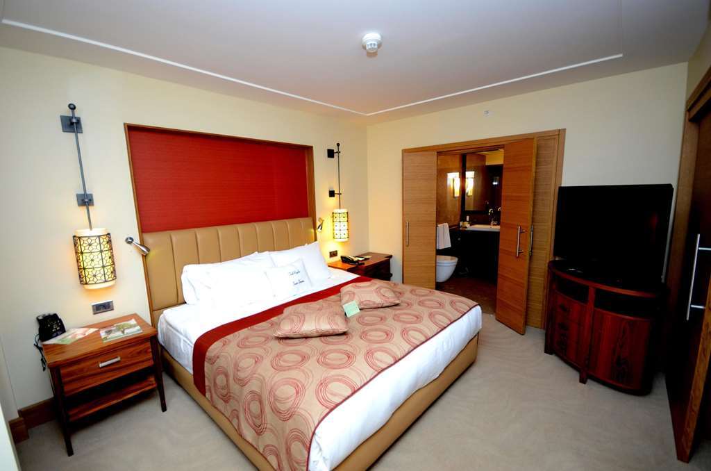 ดับเบิ้ลทรี บาย ฮิลตัน เอวานอส แคปปาโดเซีย Hotel Avanos ห้อง รูปภาพ